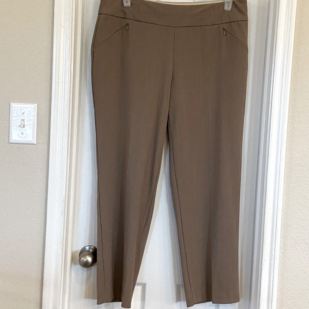 Investments Petites Beige Slacks Elastic Waist